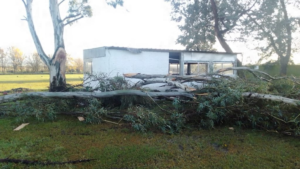 El fuerte temporal que se desató esta madrugada en la región destruyó casas, arboles, escuelas y el Tiro Federal no fue la excepción