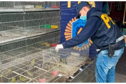 tráfico de animales