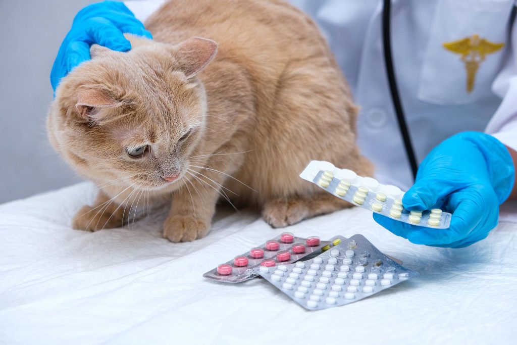 Habilitaron a las farmacias a vender medicamentos recetados por veterinarios para uso en animales
