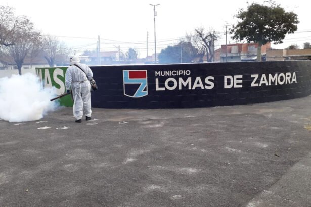 dengue en Lomas