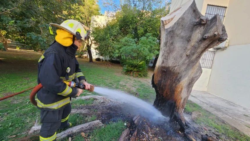 INCENDIO EN ESCALADA