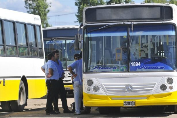 paro total de colectivos