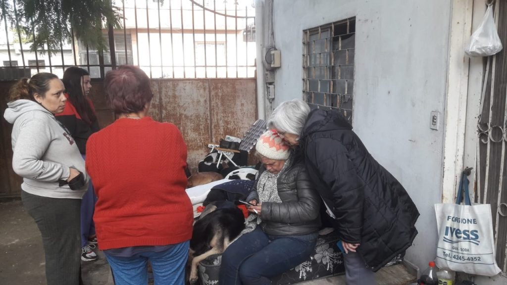 Quedó en la calle y perdió todo y algunas de sus mascotas, luego de que un incendio destruyera las casa donde alquilaba