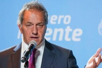 scioli ministro de economía