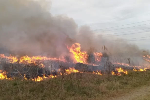 15 bomberos incendio covelia