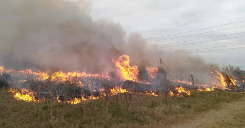 15 bomberos incendio covelia