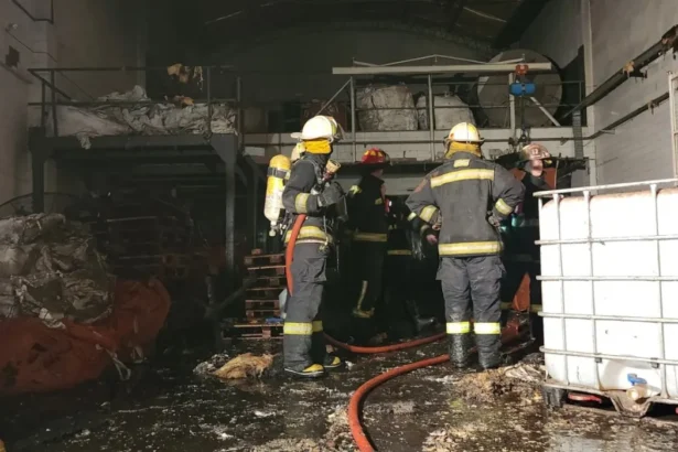 incendió fábrica papas fritas