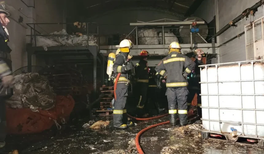 incendió fábrica papas fritas