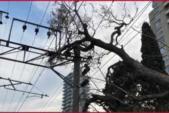 tren roca interrumpido