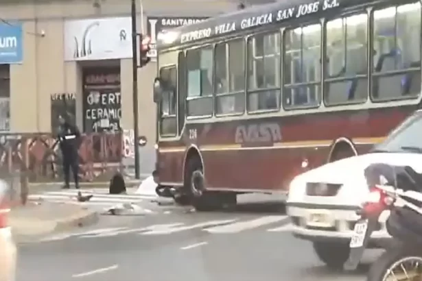fatal colectivo atropelló mató motociclista