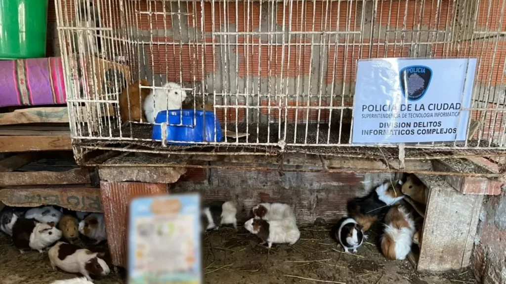 Día Mundial de los Animales de Granja: Reflexionando sobre el sufrimiento animal, el maltrato y la venta ilegal