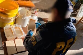 narcos bolivianos