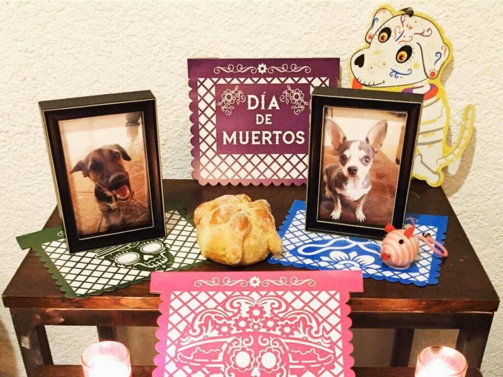 Probablemente no sabías que en México hay un Día de los Muertos para celebrar la vida de las mascotas que ya partieron