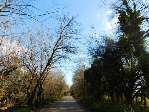 Fin de semana en Lomas de Zamora: Inicia la primavera y se celebra el Día del Estudiante con clima variable