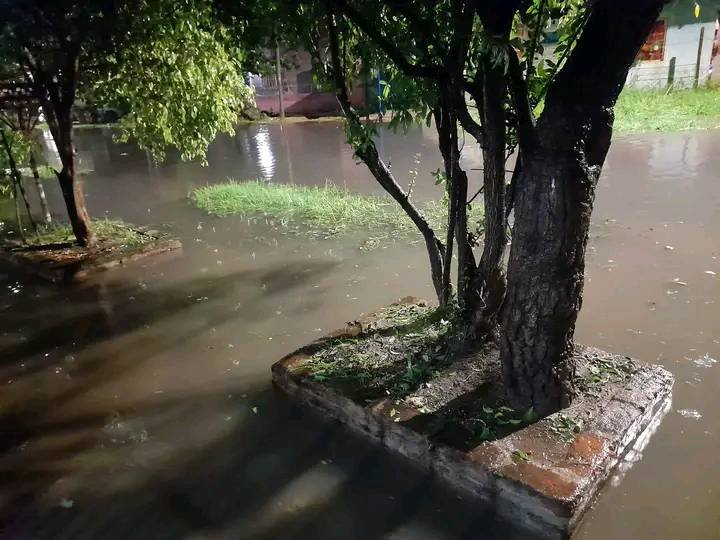 ALERTA NARANJA POR TORMENTAS FUERTES - Lomas Conectado