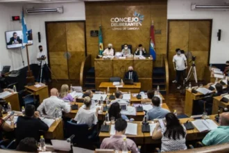 concejo elecciones