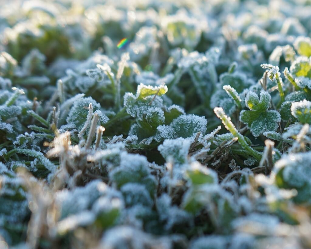 Ola polar: alerta amarilla y naranja por vientos intensos y posibilidad de caída de nieve en la provincia de Buenos Aires