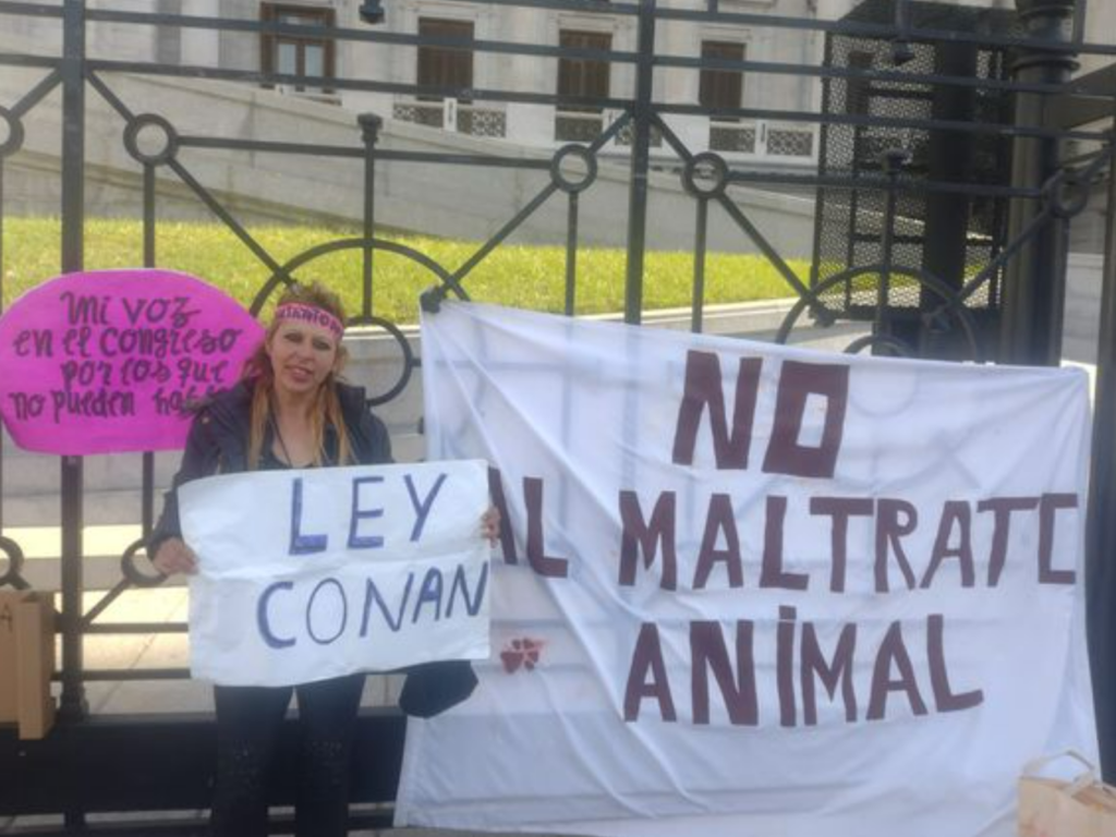 Debate y controversia por el proyecto de la “Ley Conan”: convocan a una nueva marcha en el Congreso