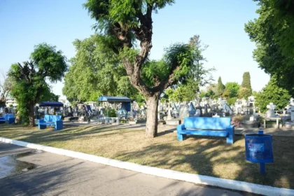 cementerio municipal