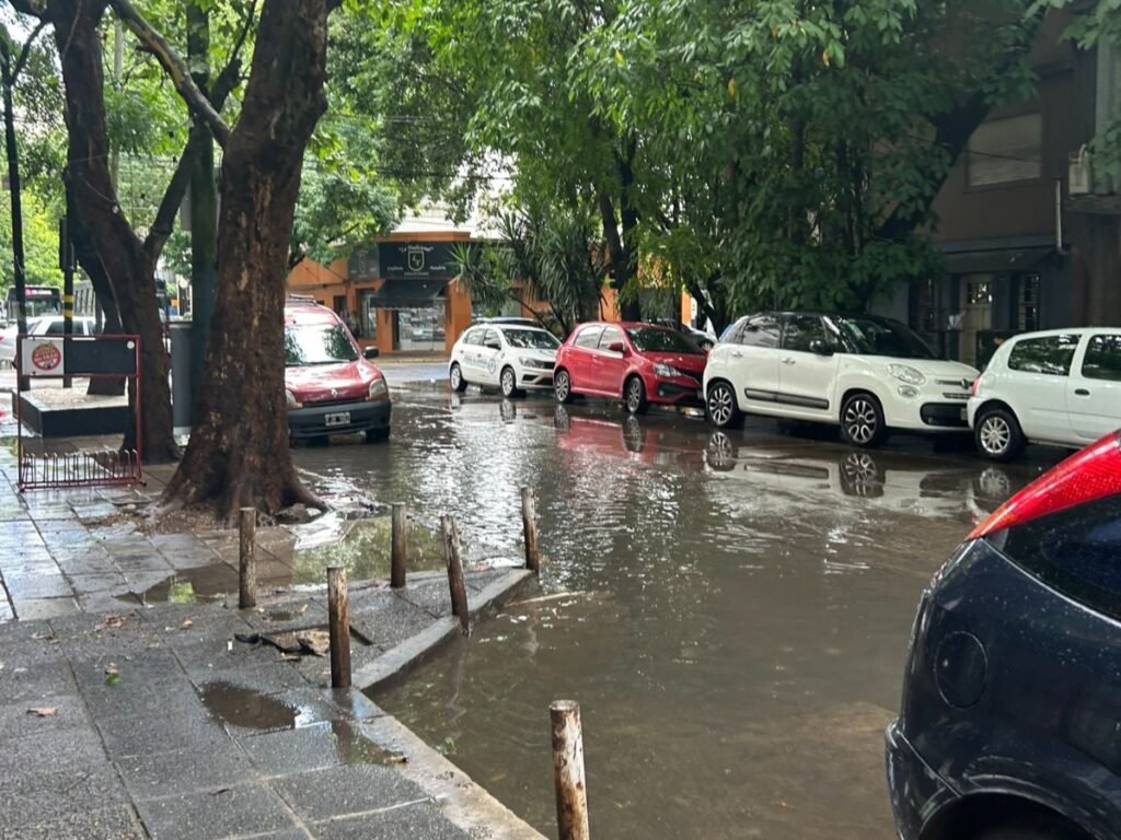 Una fuerte tormenta con caída de granizo sorprendió a Lomas de Zamora y el conurbano durante la madrugada