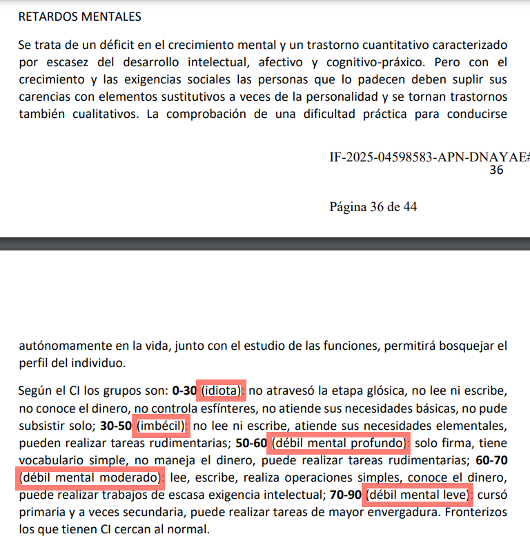 El Gobierno despiden a funcionaria de la ANDIS tras polémica por terminología ofensiva "idiota", "imbécil" y "débil mental" 