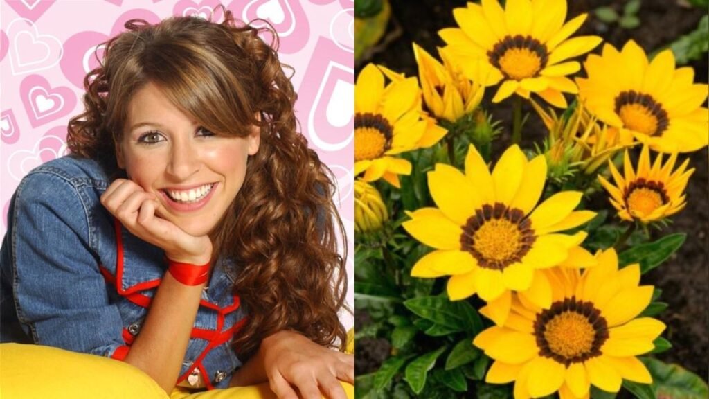 Día de las Flores Amarillas: te contamos el origen de una tradición que creció con la televisión y las redes sociales