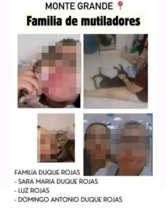 Caso Mutiladora de animales de Turdera: Separan de su cargo a la pediatra denunciada por maltrato animal y abuso sexual. 