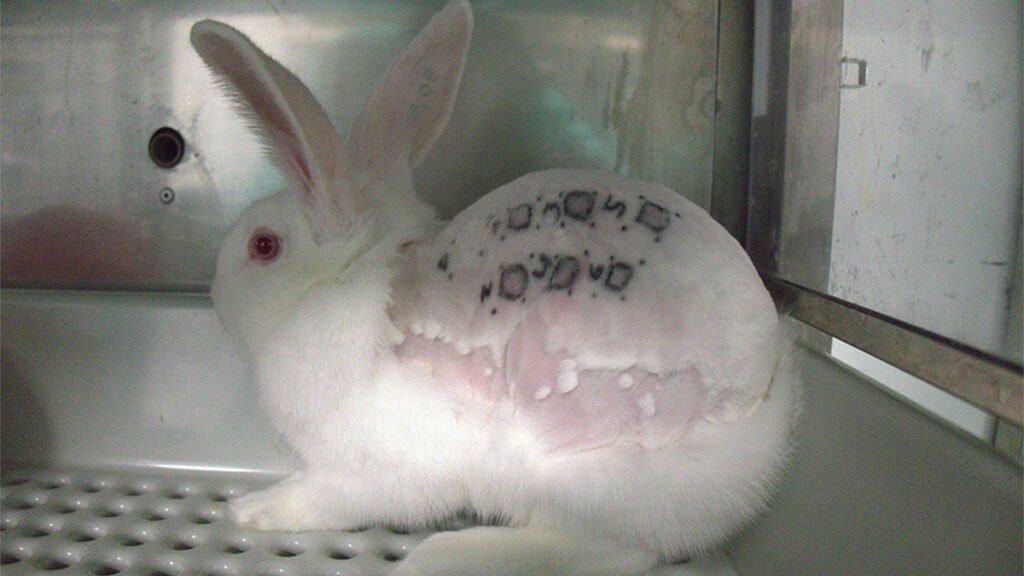 Día Internacional del Animal de Laboratorio: una fecha para la reflexión y el debate científico-ético