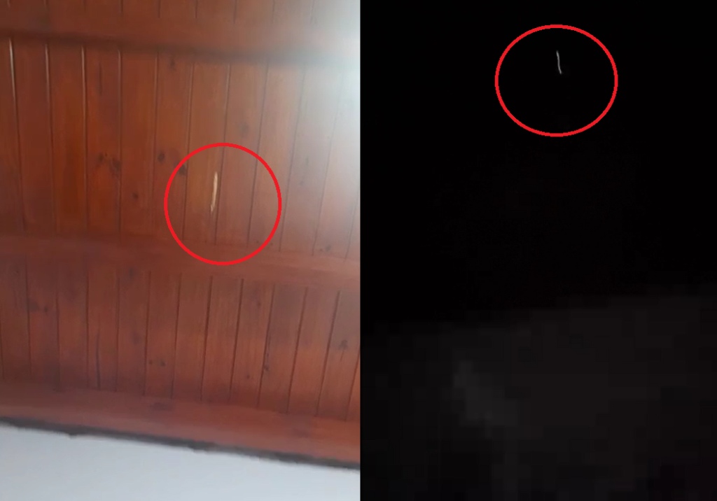 Una bala perdida de un "velorio tumbero" cayó en su casa y rozó la pierna de su hijo de 13 años: "Hoy podríamos estar velando a mi hijo”