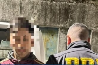 Detuvieron al hombre que habría cavado la tumba de las víctimas de la banda narco en Varela