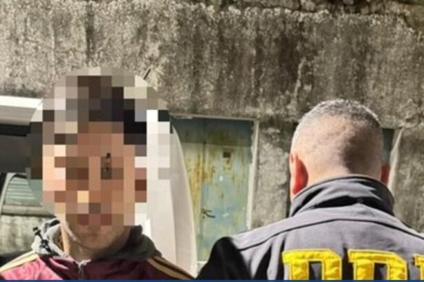 Detuvieron al hombre que habría cavado la tumba de las víctimas de la banda narco en Varela