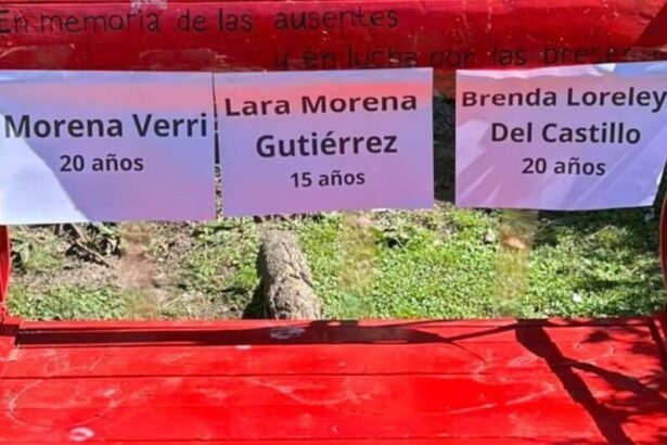 ¿Que paso con las tres chicas desaparecidas que fueron halladas asesinadas? 10 preguntas y 10 respuestas