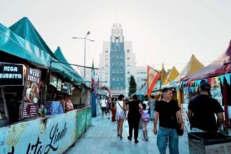 expo colectividades