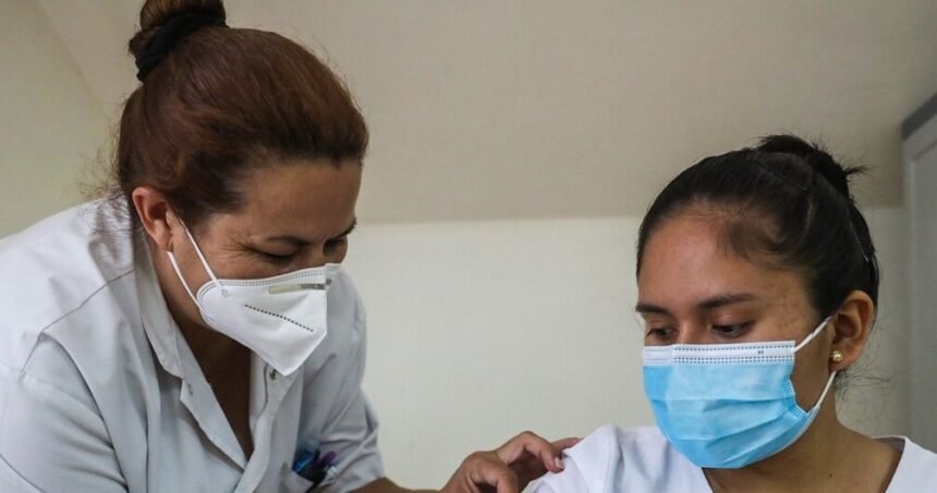 El gobierno refuerza la prevención frente al brote de fiebre amarilla en la región