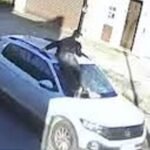 Pidieron inhabilitación de una mujer que arrastró a un joven sobre el capó de su auto