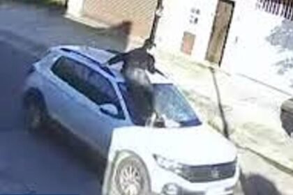 Pidieron inhabilitación de una mujer que arrastró a un joven sobre el capó de su auto