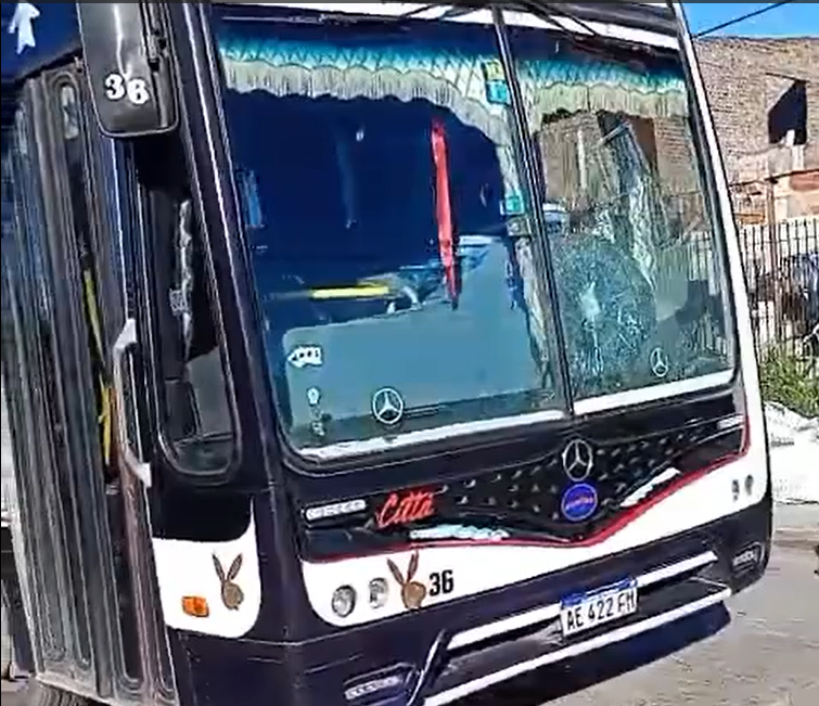 Una mujer rompió el parabrisas de un colectivo de la Línea 544 en Santa Marta y dio su versión de los hechos