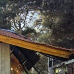 Identifican a menor de 15 años como presunto autor de incendio de parroquia en Pehuén Có