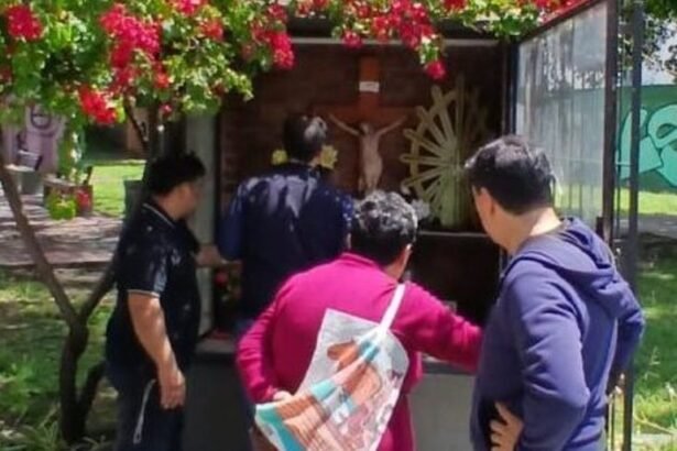 Sacrilegio en Liniers: vandalizaron una imagen de la Virgen de Luján