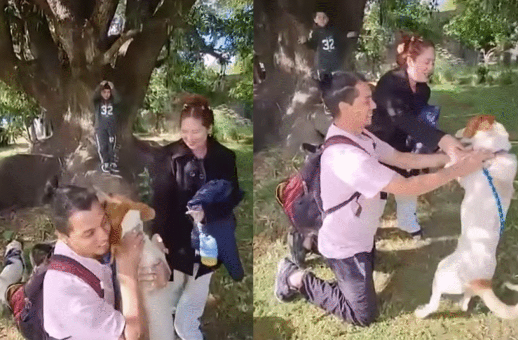 Una familia recuperó a su mascota perdida gracias a una acción solidaria de Edesur: la historia de Dereck, el perrito que volvió a casa