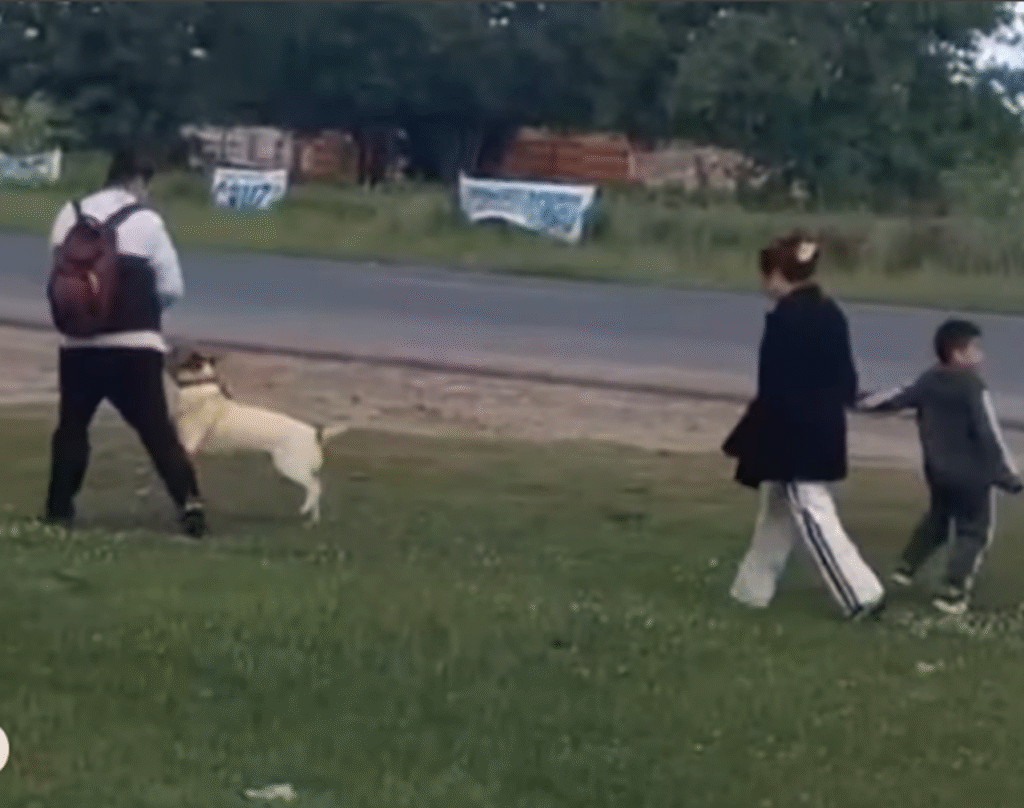 Una familia recuperó a su mascota perdida gracias a una acción solidaria de Edesur: la historia de Dereck, el perrito que volvió a casa