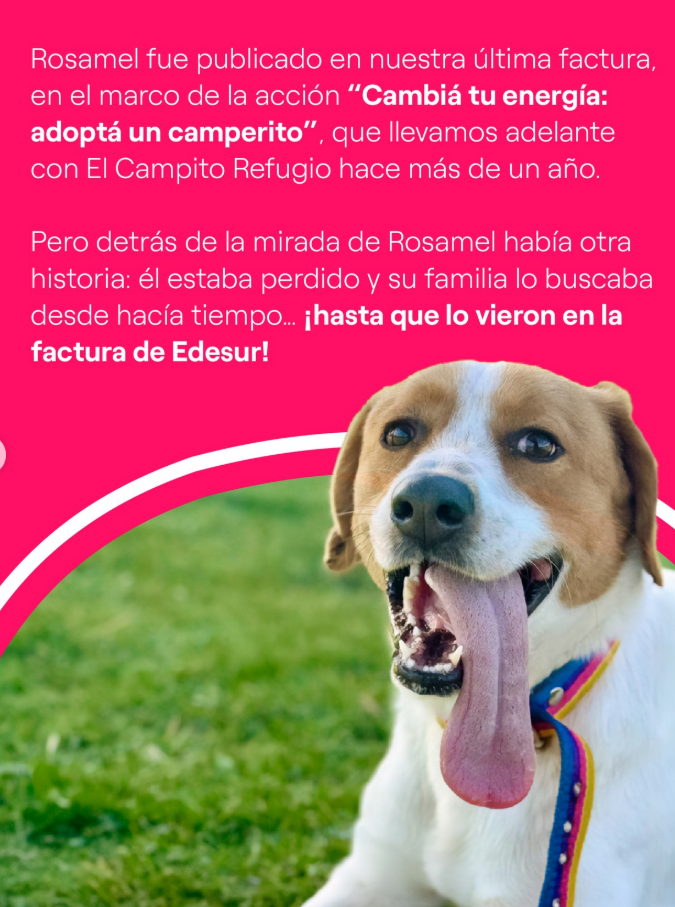 Una familia recuperó a su mascota perdida gracias a una acción solidaria de Edesur: la historia de Dereck, el perrito que volvió a casa