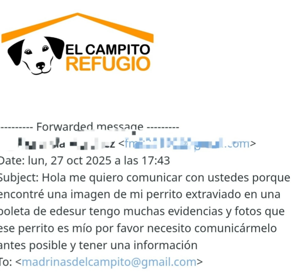 Una familia recuperó a su mascota perdida gracias a una acción solidaria de Edesur: la historia de Dereck, el perrito que volvió a casa