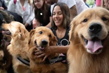 Más de 2.000 golden retrievers invadieron los Bosques de Palermo