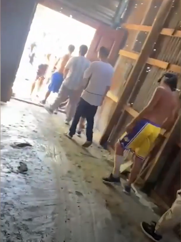 Operativo en Lomas de Zamora: nueve detenidos por el robo de una camioneta de un correo gracias a un detalle clave