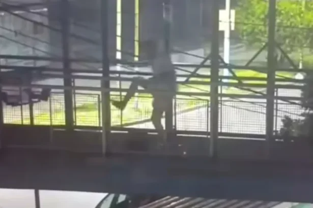 rescate de mujer