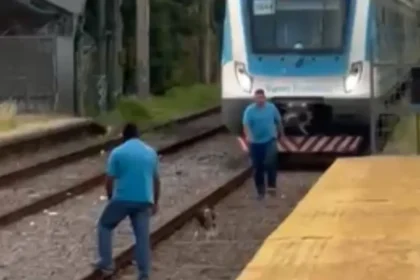 Frenaron tren para salvar un perrito