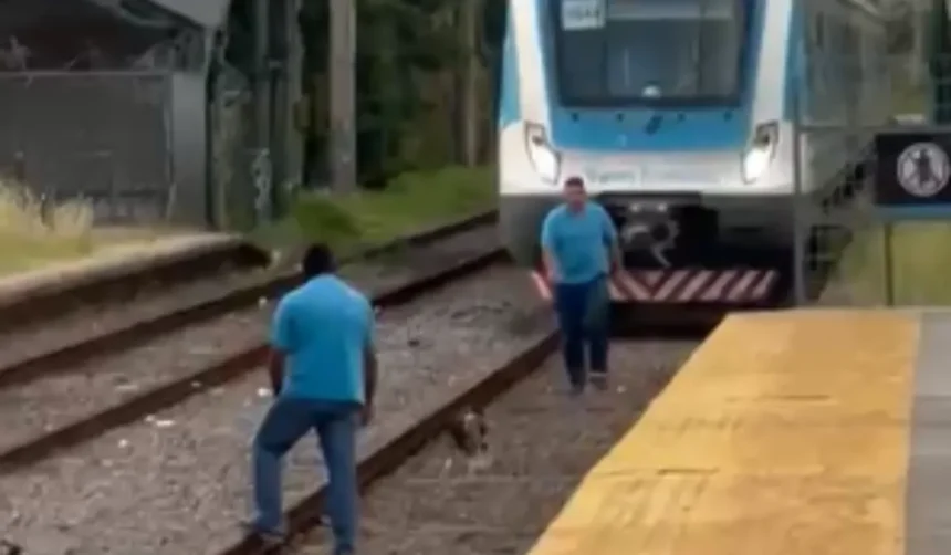 Frenaron tren para salvar un perrito