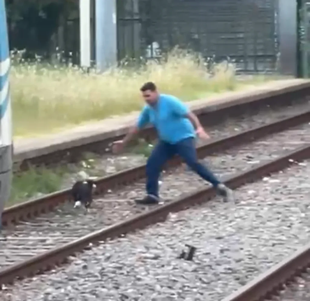 Salvan a un perro en las vias del tren roca