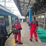 terrorista temperley